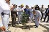 گرامیداشت روز درختکاری در پالایشگاه ستاره خلیج فارس