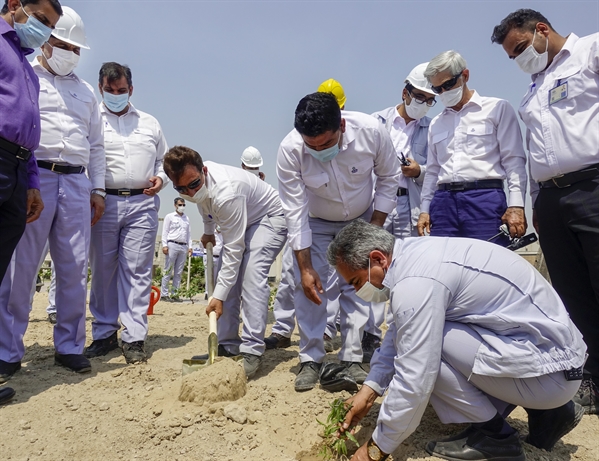 به مناسبت روز زمین پاک؛ کاشت هزار اصله درخت گلپرک در پالایشگاه ستاره خلیج فارس