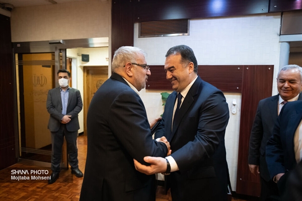 دیدار وزیر نفت با وزیر انرژی تاجیکستان، ایران و تاجیکستان در ۶ محور مذاکره کردند